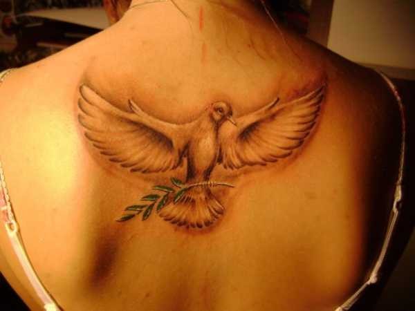 Татуировка голубя: фото, значение, место, для мужчин и  женщин