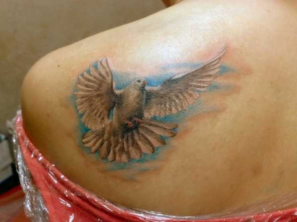 Татуировка голубя: фото, значение, место, для мужчин и  женщин