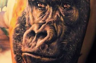 Татуировка горилла: что означает
