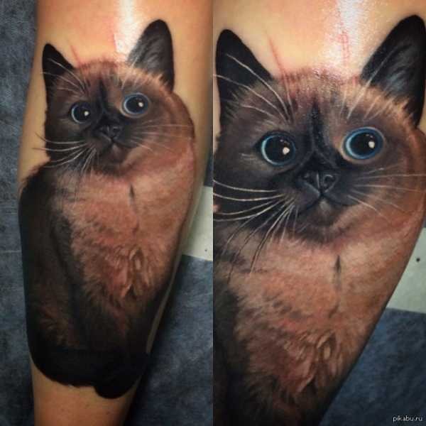 Татуировка кота: значение, фото, для мужчин и женщин