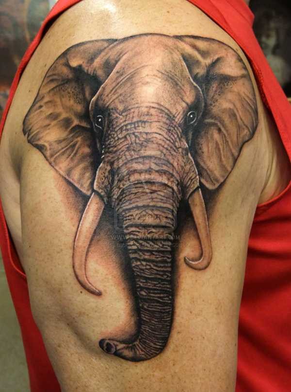 Татуировка слон: фото, значение, для мужчин и девушек