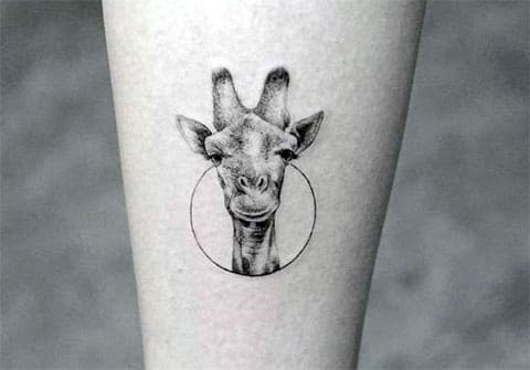Татуировка жираф: фото, значение, для мужчин и девушек