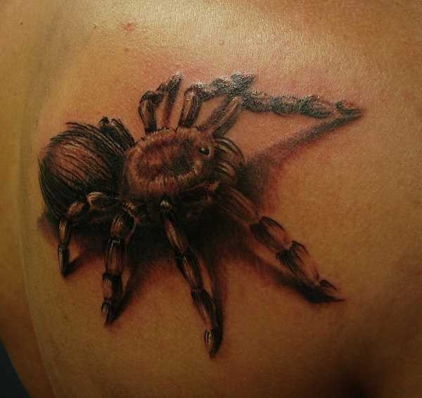 Татуировка паук: фото, значение, для парней и девушек