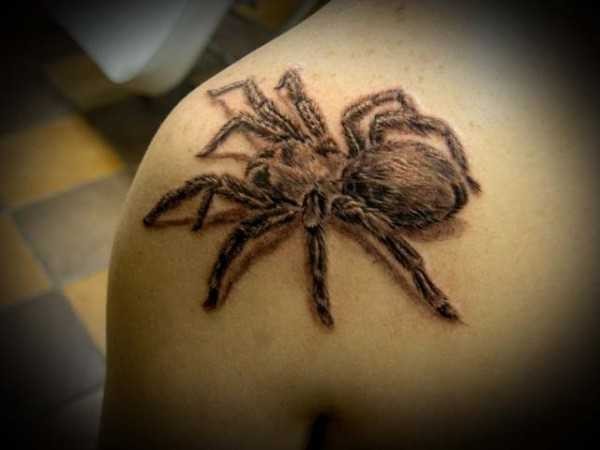 Татуировка паук: фото, значение, для парней и девушек